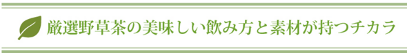 厳選野草茶の美味しい飲み方と素材が持つチカラ